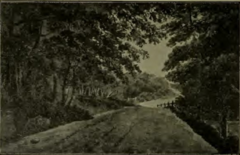 Page128b-Hastings of Bygone Days and the Present